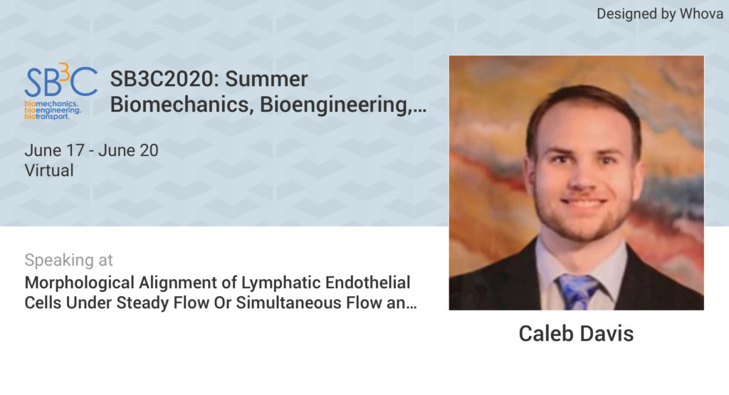 Caleb Davis Morphological Alignment of Lymphatic Endothelial Cells Under Steady Flow Or Simultaneous Flow and Stretch in Vitro﻿